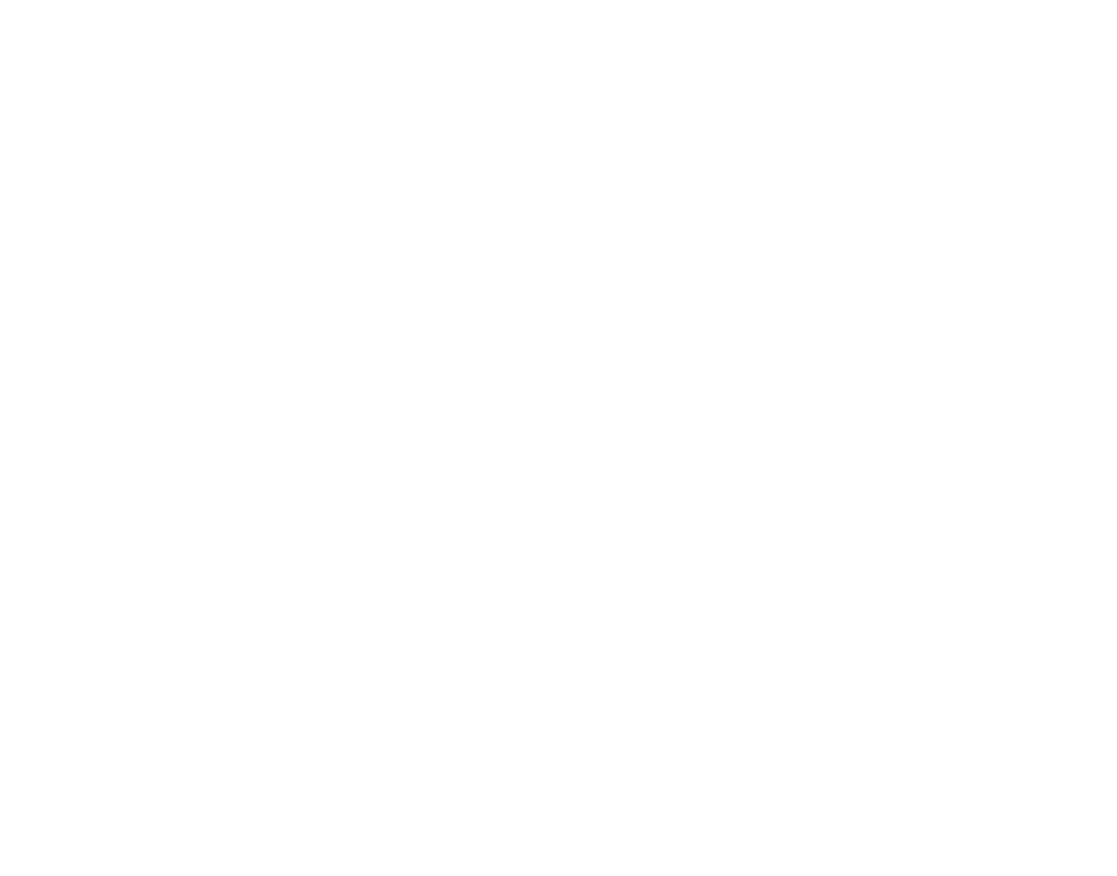 VS Logo-white